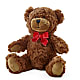 Adorable Plush Bear – Flowers By Diane, Bridgewater MA