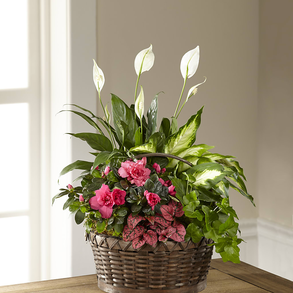 Dream in Pink Dishgarden – Flowers By Diane, Bridgewater MA