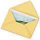 Greeting Card – Flowers By Diane, Bridgewater MA