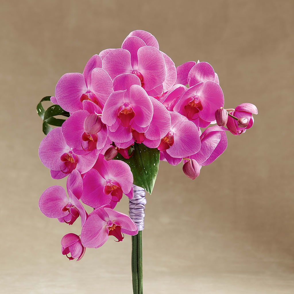 Glorious Bouquet – Flowers By Diane, Bridgewater MA