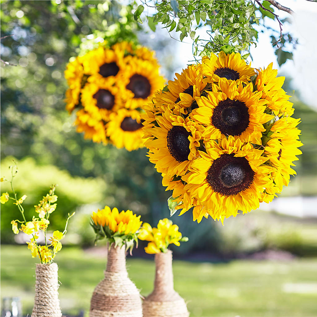Sublime Garden Hanging Arrangement – Flowers By Diane, Bridgewater MA