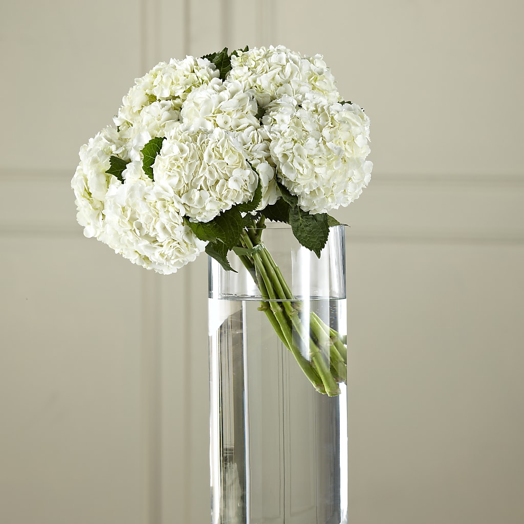 White Hydrangea Hand-Tied Bouquet – Flowers By Diane, Bridgewater MA