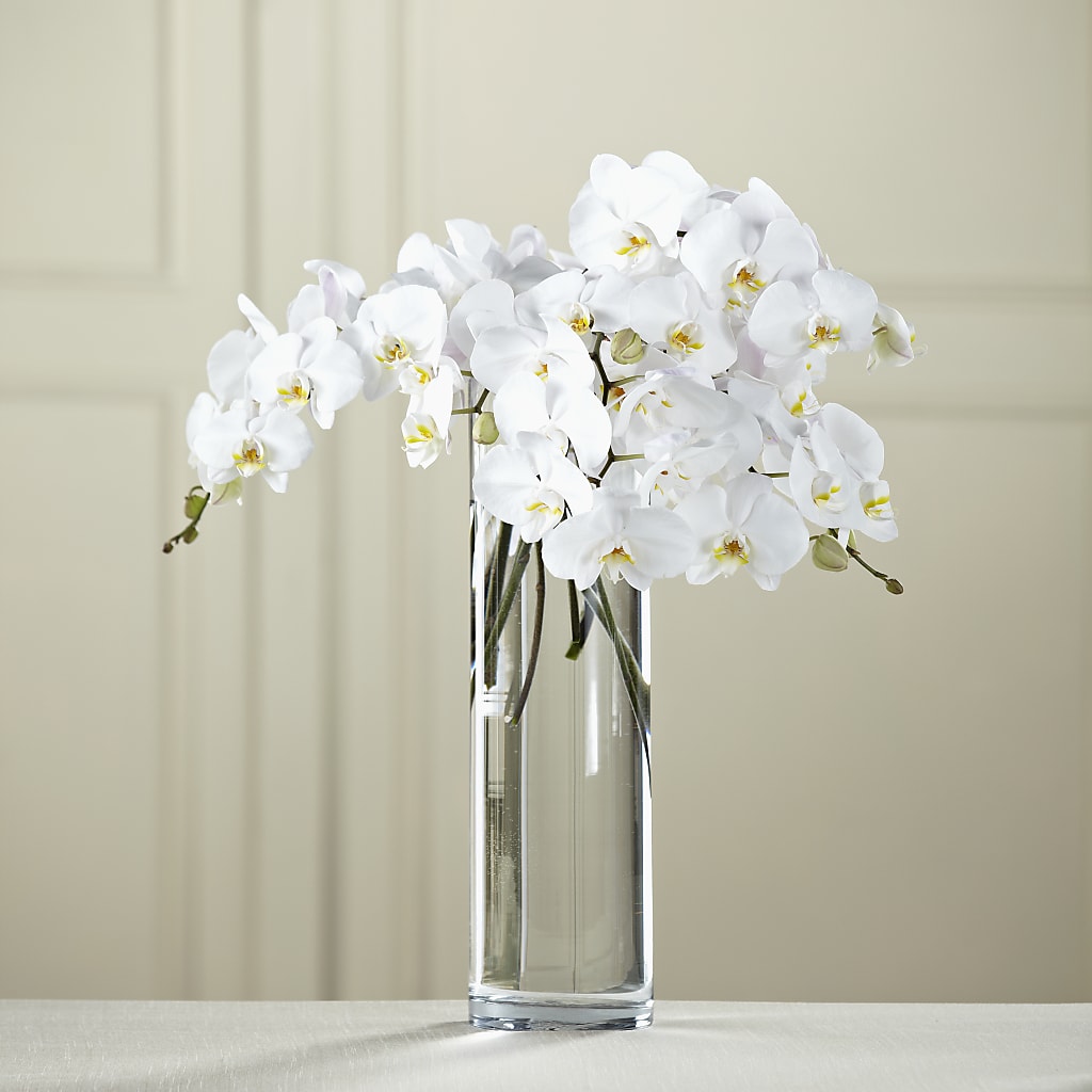 White Phalaenopsis Bouquet – Flowers By Diane, Bridgewater MA