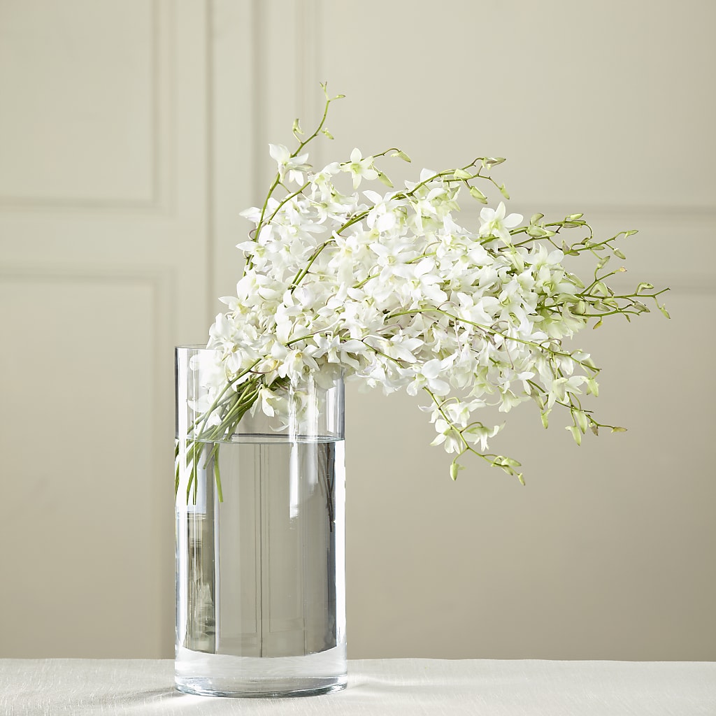 White Dendrobium Bouquet – Flowers By Diane, Bridgewater MA