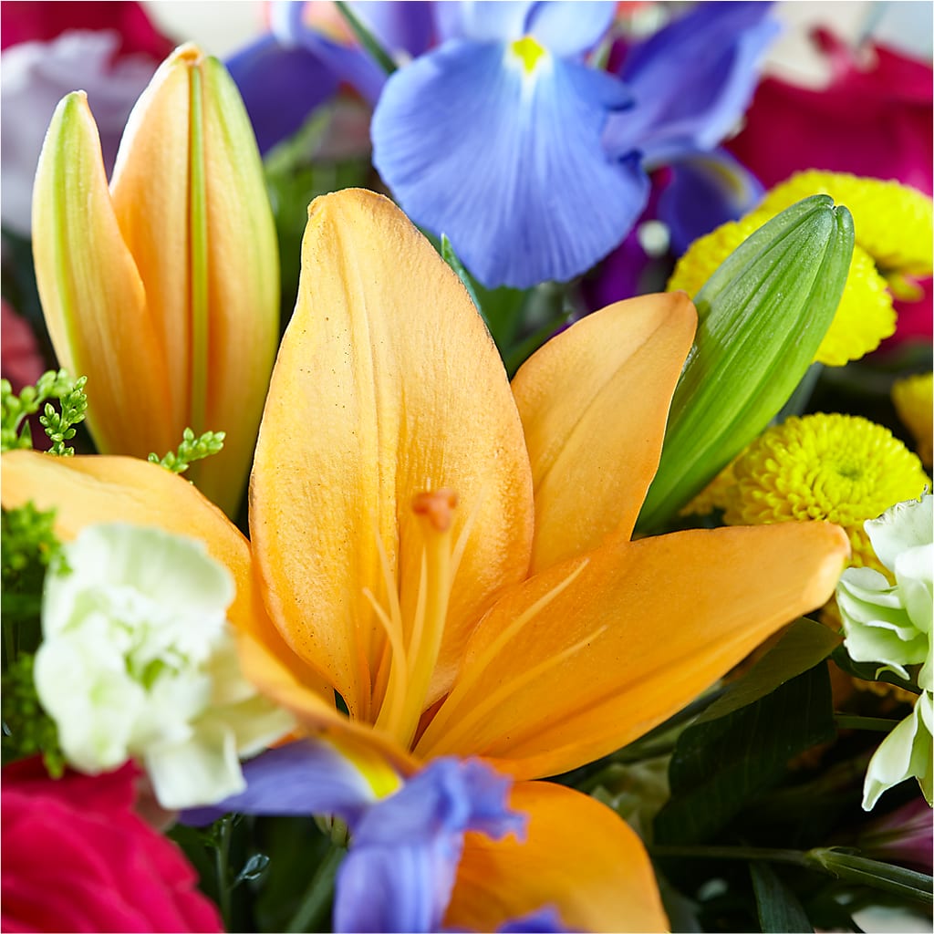 Bold & Bright – A Florist Original –  Flowers By Diane, Bridgewater MA
