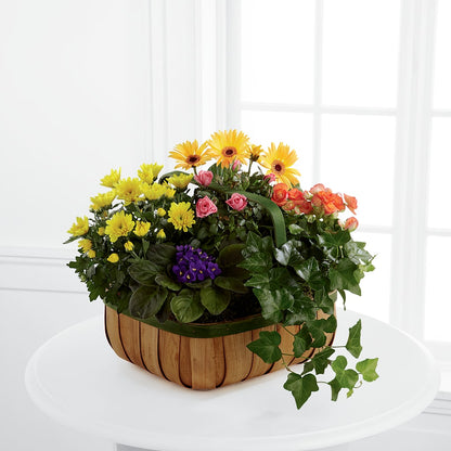 Gentle Blossoms Basket –  Flowers By Diane, Bridgewater MA