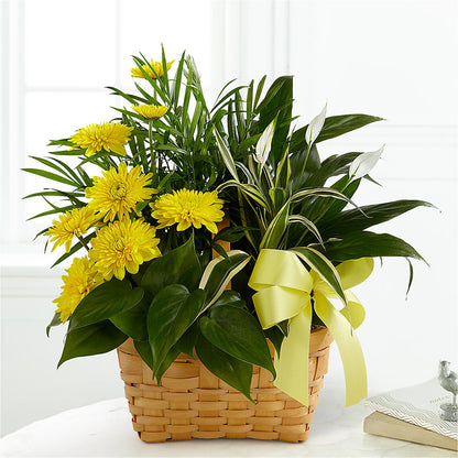 Loving Light Dishgarden –  Flowers By Diane, Bridgewater MA