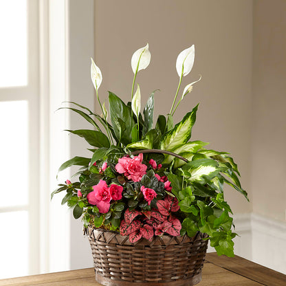 Dream in Pink Dishgarden –  Flowers By Diane, Bridgewater MA