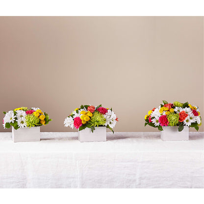 Sorbet Bouquet –  Flowers By Diane, Bridgewater MA