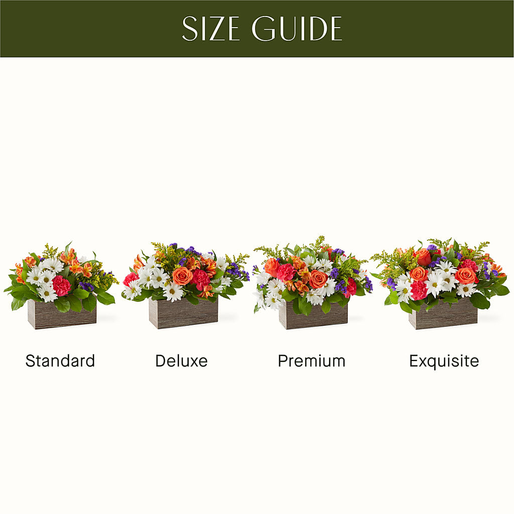 Oopsie Daisy Box Bouquet –  Flowers By Diane, Bridgewater MA