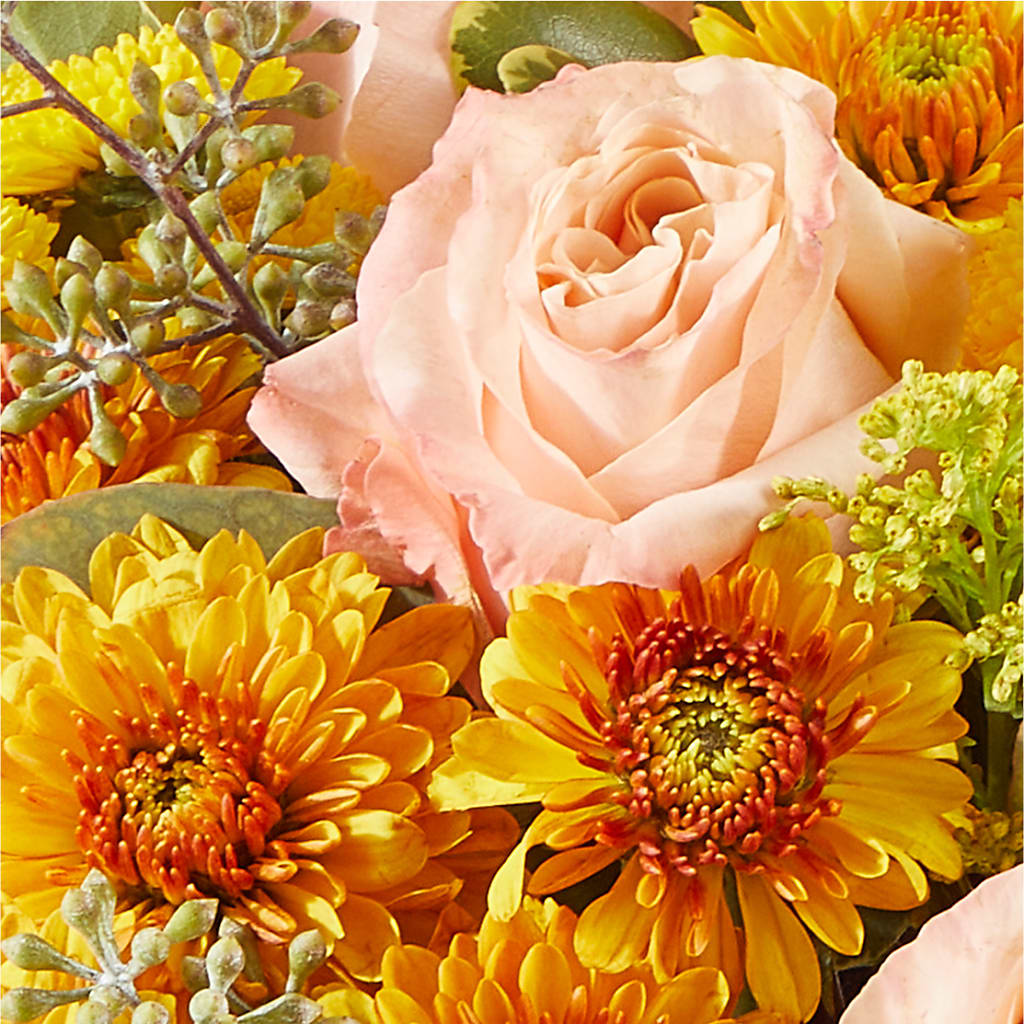 Peachy Pumpkin –  Flowers By Diane, Bridgewater MA