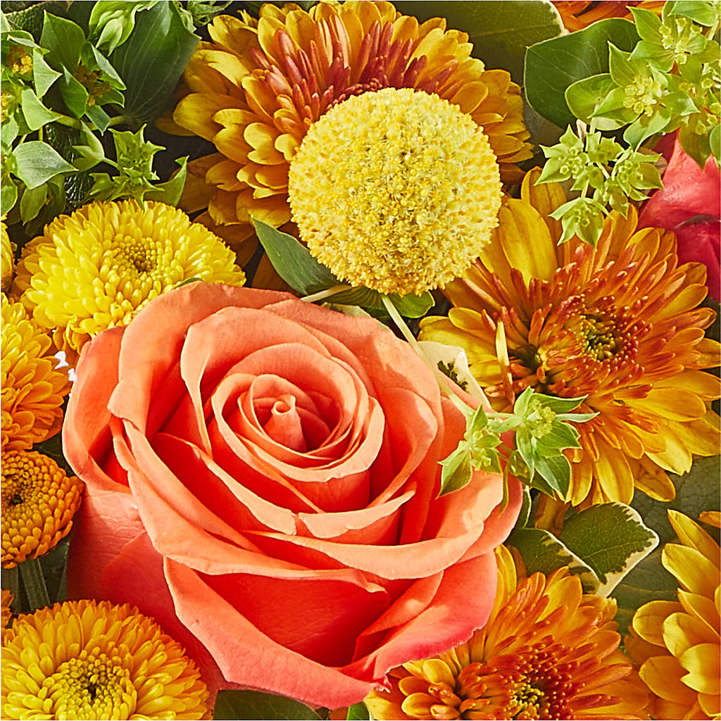 Gourdgeous Pumpkin –  Flowers By Diane, Bridgewater MA