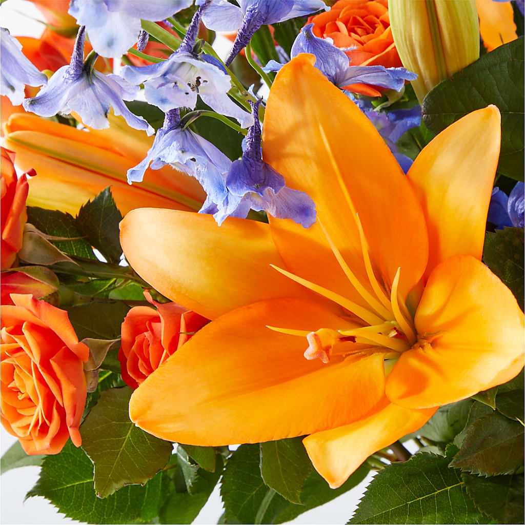 Radiant Citrus Bouquet –  Flowers By Diane, Bridgewater MA