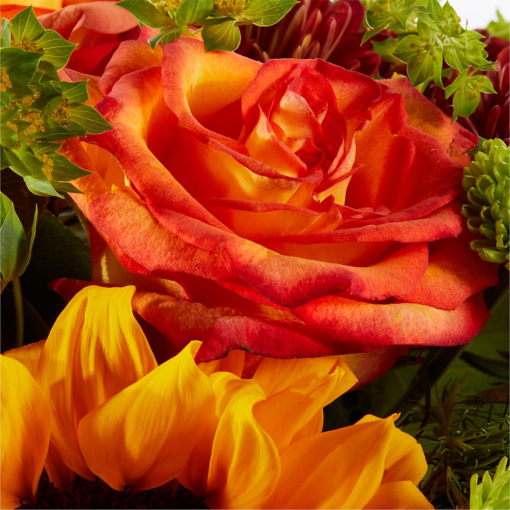 Harvest Festival Bouquet –  Flowers By Diane, Bridgewater MA