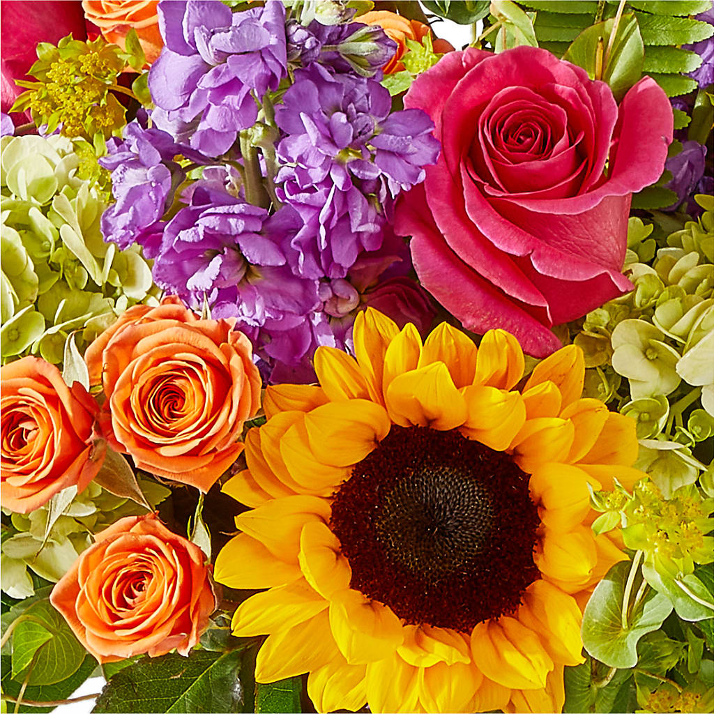 Vibrant Greetings Bouquet –  Flowers By Diane, Bridgewater MA