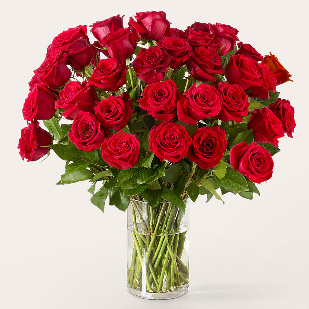 The One Red Rose Bouquet –  Flowers By Diane, Bridgewater MA
