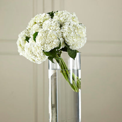 White Hydrangea Hand-Tied Bouquet –  Flowers By Diane, Bridgewater MA