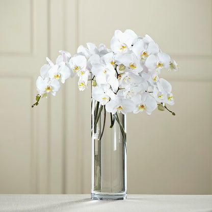 White Phalaenopsis Bouquet –  Flowers By Diane, Bridgewater MA